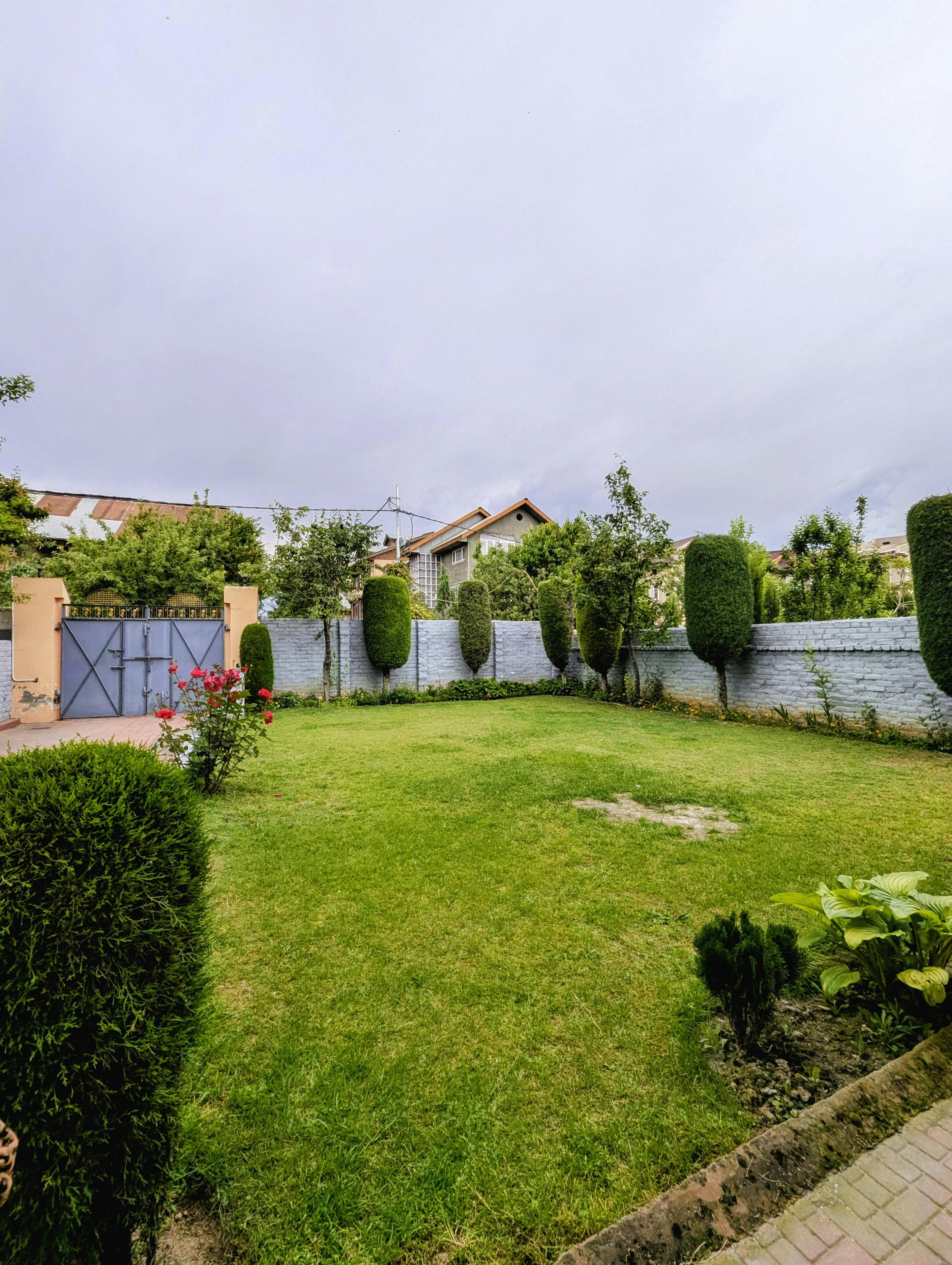 Well-maintained garden with lawn, hedges and planting